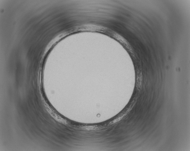 X0000082761130200702240058