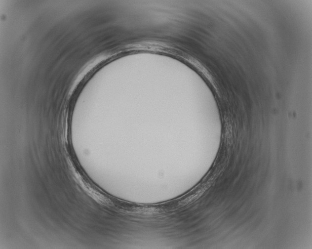 X0000082761131200702240058