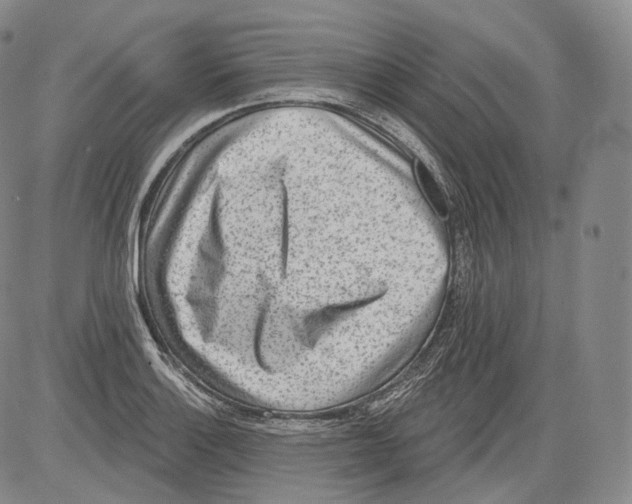 X0000082761132200702240058