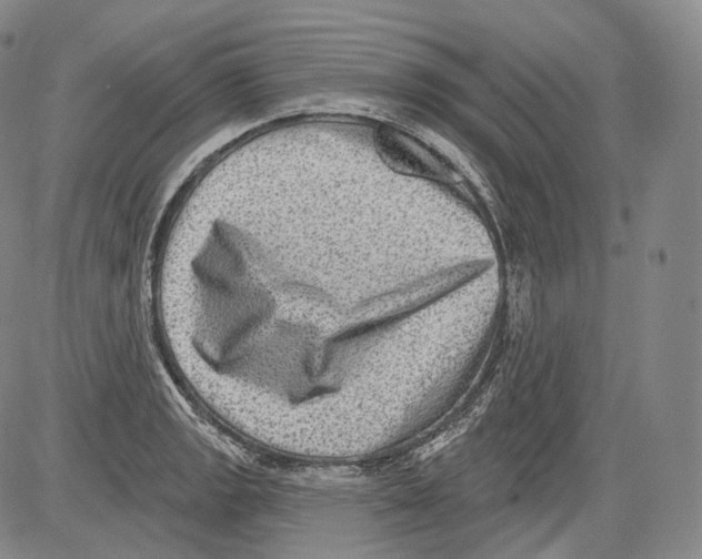 X0000082761133200702240058