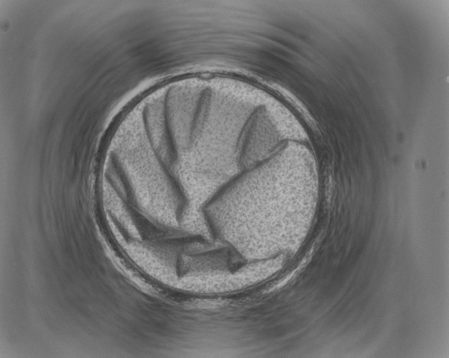 X0000082761134200702240058