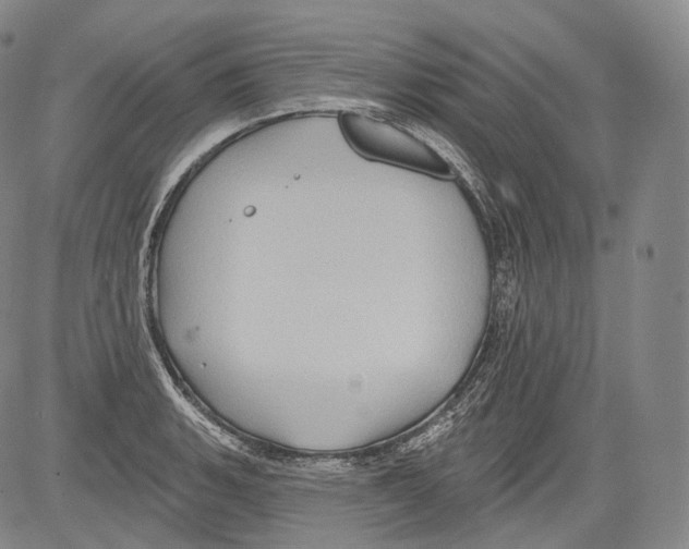 X0000082761135200702240058