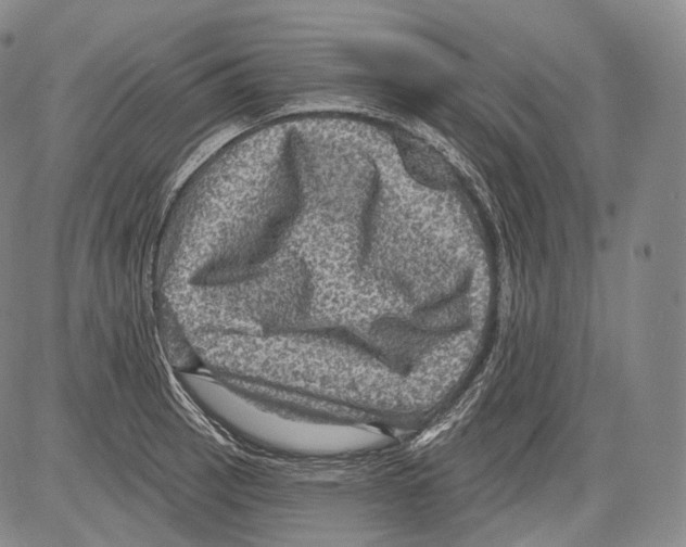 X0000082761137200702240058