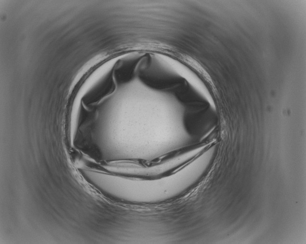 X0000082761138200702240058