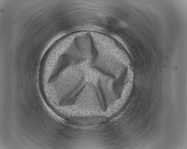 X0000082761139200702240058