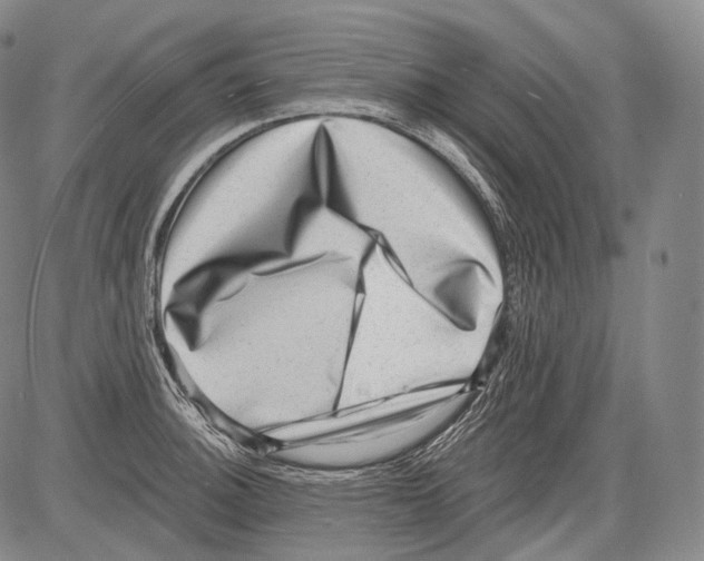 X0000082761140200702240058