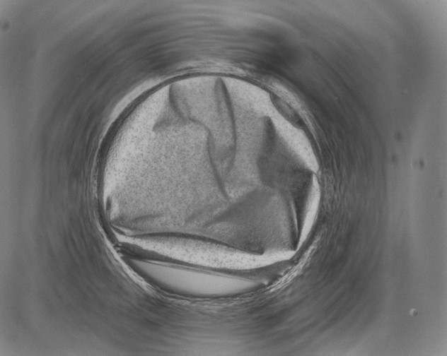 X0000082761141200702240058