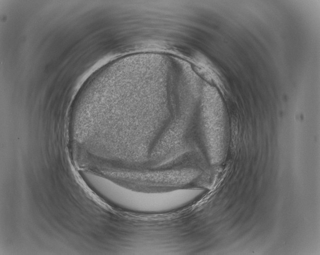 X0000082761142200702240058