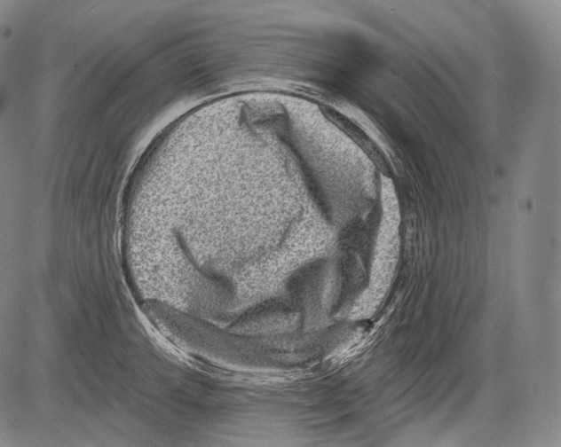 X0000082761143200702240058