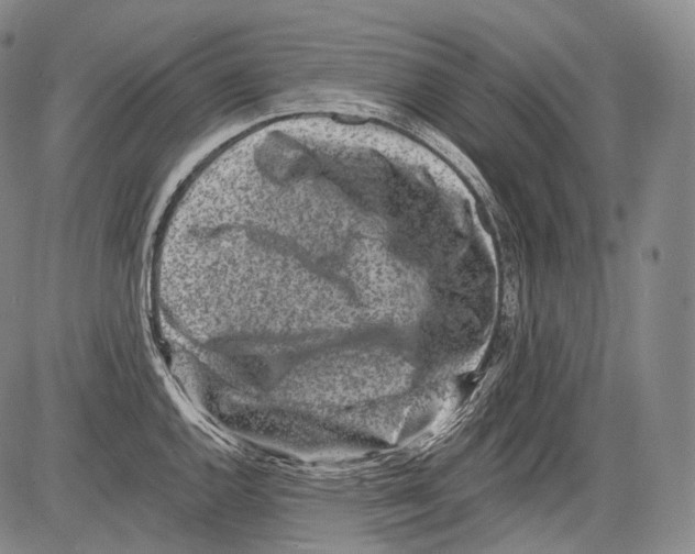 X0000082761144200702240058