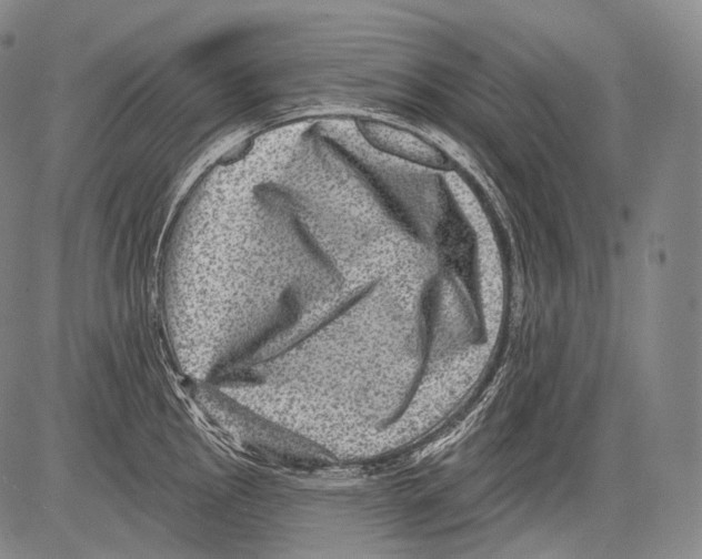 X0000082761145200702240058