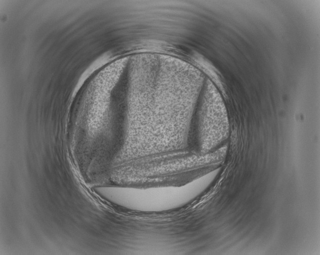 X0000082761146200702240058