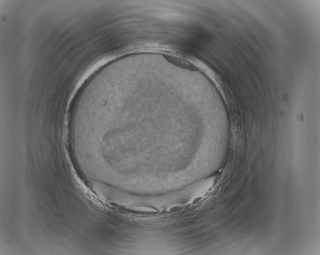 X0000082761147200702240058