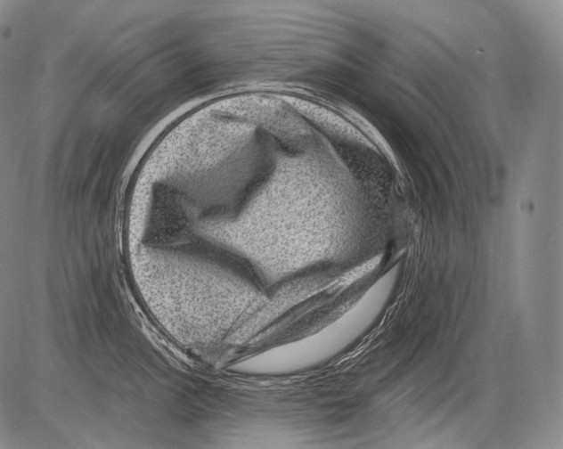 X0000082761148200702240058