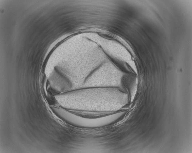 X0000082761149200702240058