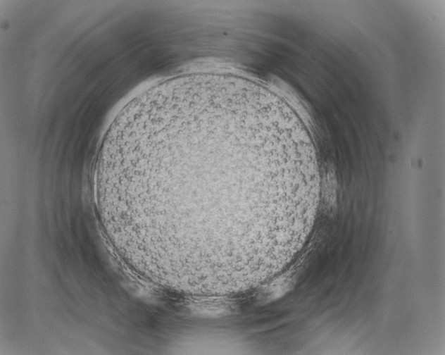 X0000082761150200702240058