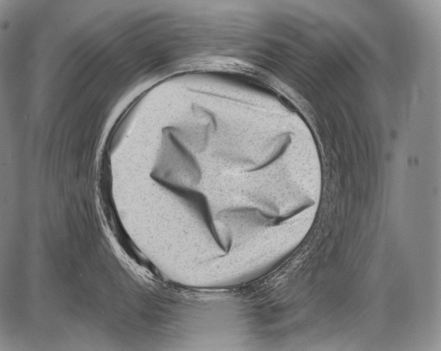 X0000082761152200702240058