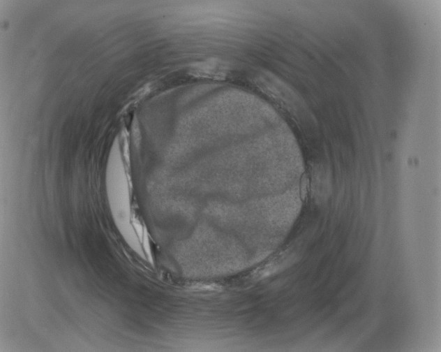 X0000082761154200702240057