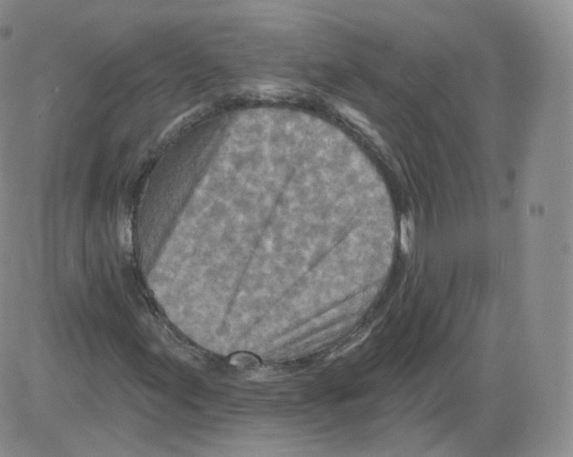 X0000082761155200702240057