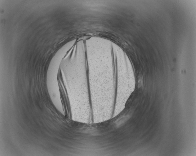 X0000082761156200702240057