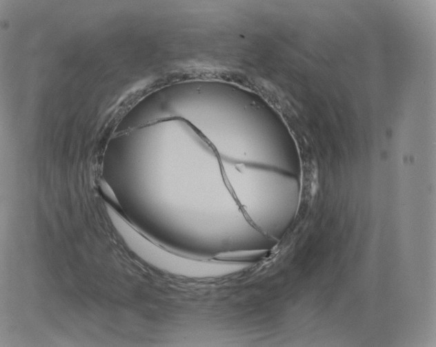 X0000082761157200702240057