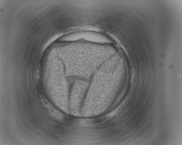 X0000082761163200702240057