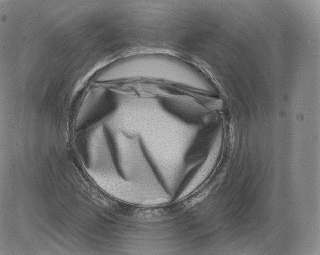 X0000082761165200702240057