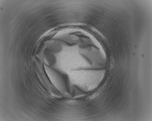 X0000082761169200702240057