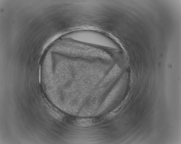 X0000082761171200702240057