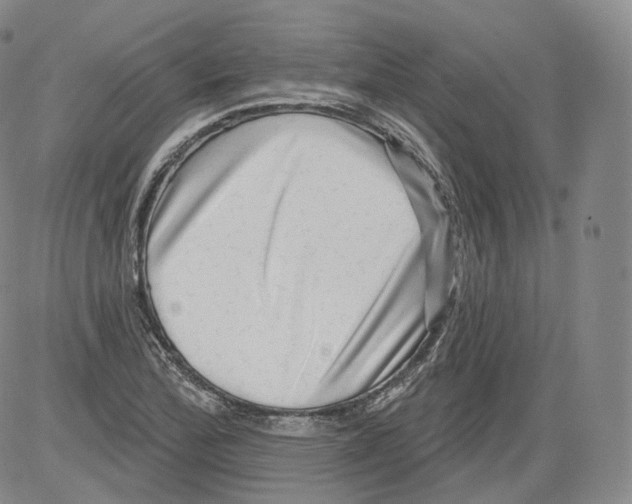 X0000082761172200702240057