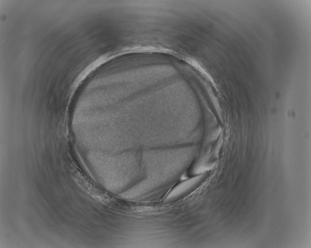 X0000082761173200702240057