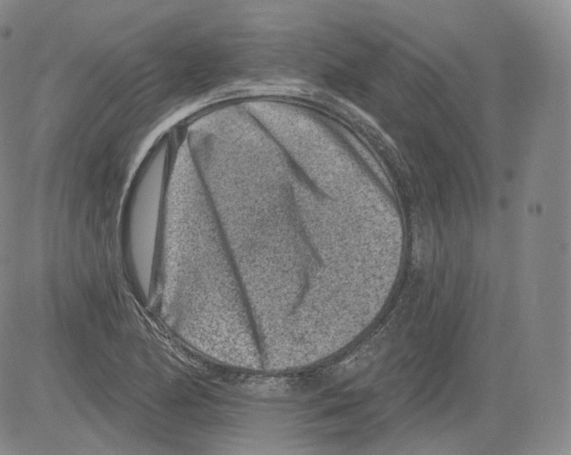 X0000082761174200702240057