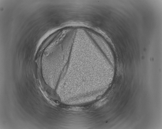 X0000082761175200702240057