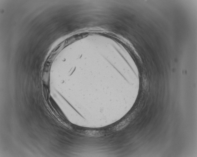 X0000082761176200702240057