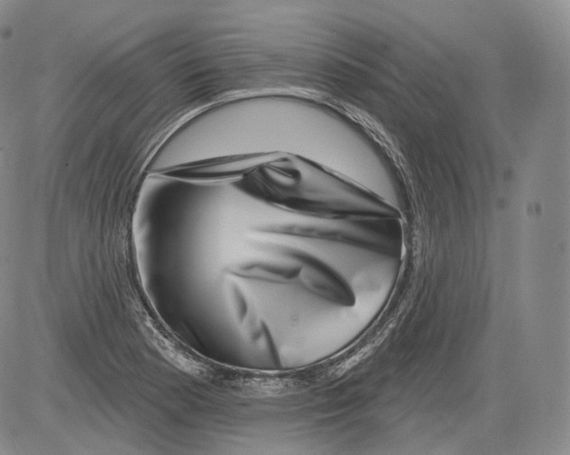 X0000082761177200702240057