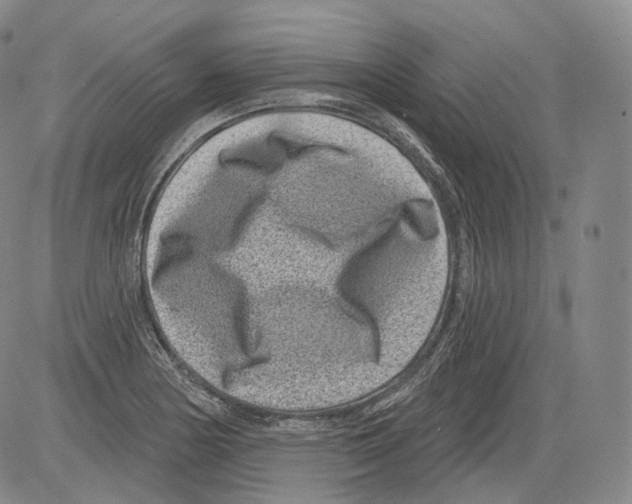 X0000082761178200702240057