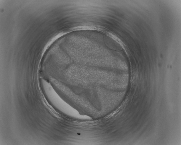 X0000082761179200702240057