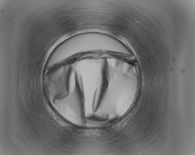 X0000082761181200702240057