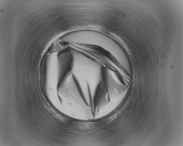 X0000082761184200702240057