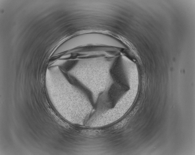 X0000082761185200702240057