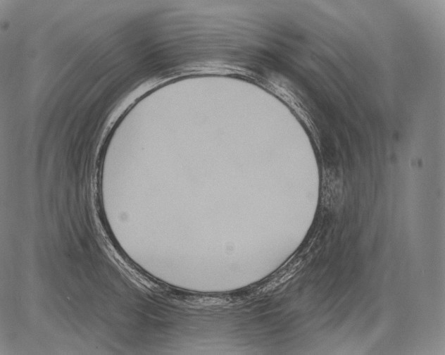 X0000082761187200702240057