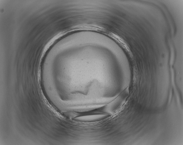 X0000082761188200702240057