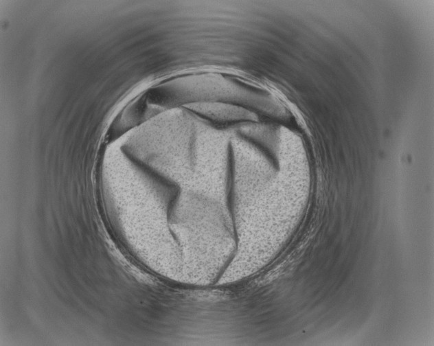 X0000082761189200702240057