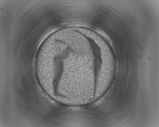 X0000082761190200702240057