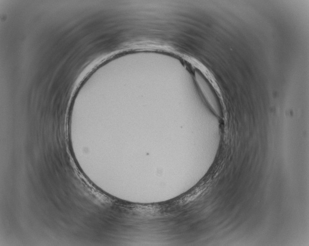 X0000082761191200702240057