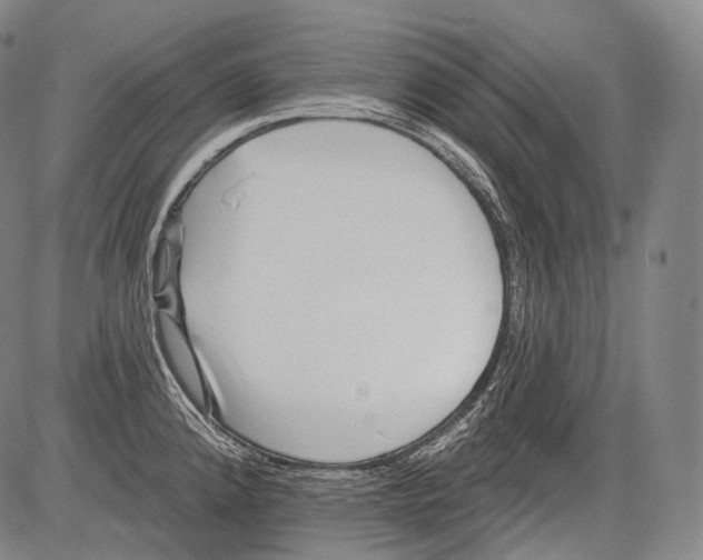 X0000082761192200702240057