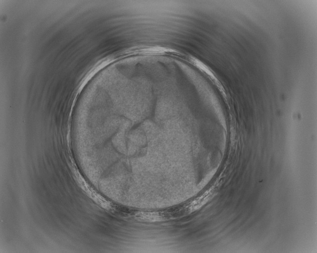 X0000082761194200702240057