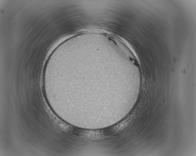 X0000082761195200702240057