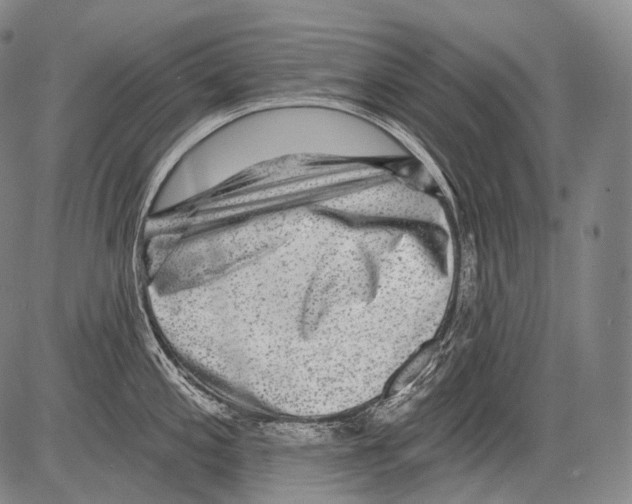 X0000082761197200702240056