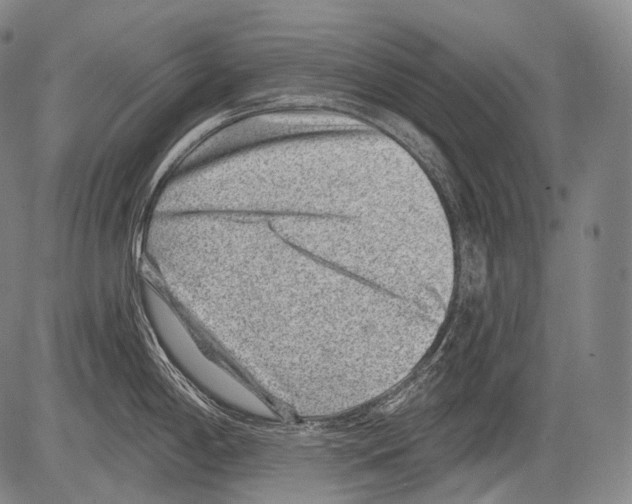 X0000082761198200702240056